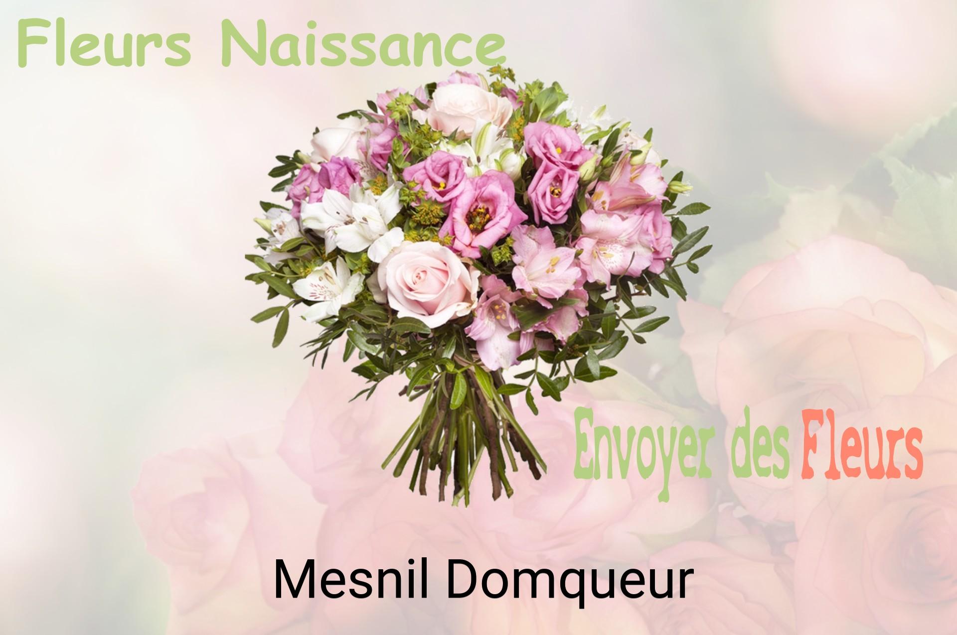 Bouquet de fleurs de naissance livré à Mesnil-Domqueur